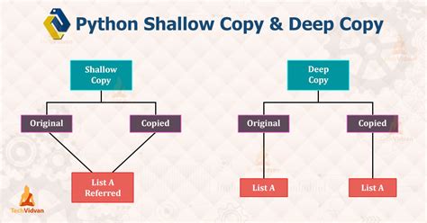 deep copy python example.